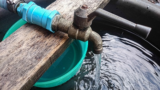 So machen Sie Ihren Wasserhahn im Garten frostsicher. Foto: AKE NGIAMSANGUAN / shutterstock.com So machen Sie Ihren Wasserhahn im Garten frostsicher. Foto: AKE NGIAMSANGUAN / shutterstock.com