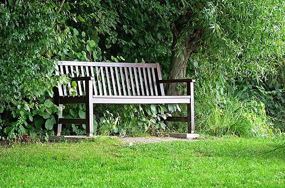 Garten. Foto: pixabay.com