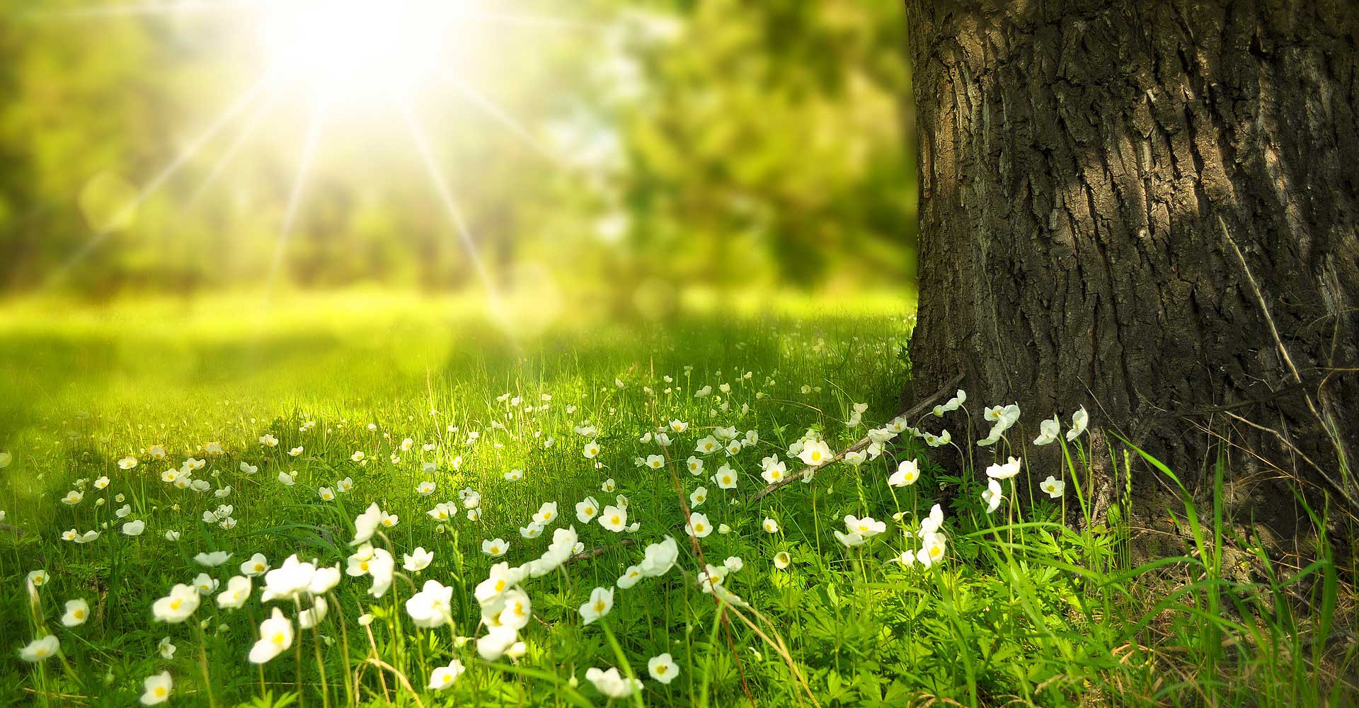 Gesund Bauen - wie Licht, Baustoffe und die Luftfeuchtigkeit unsere Gesundheit beeinflussen. Foro: pixabay.com Gesund Bauen - wie Licht, Baustoffe und die Luftfeuchtigkeit unsere Gesundheit beeinflussen. Foro: pixabay.com