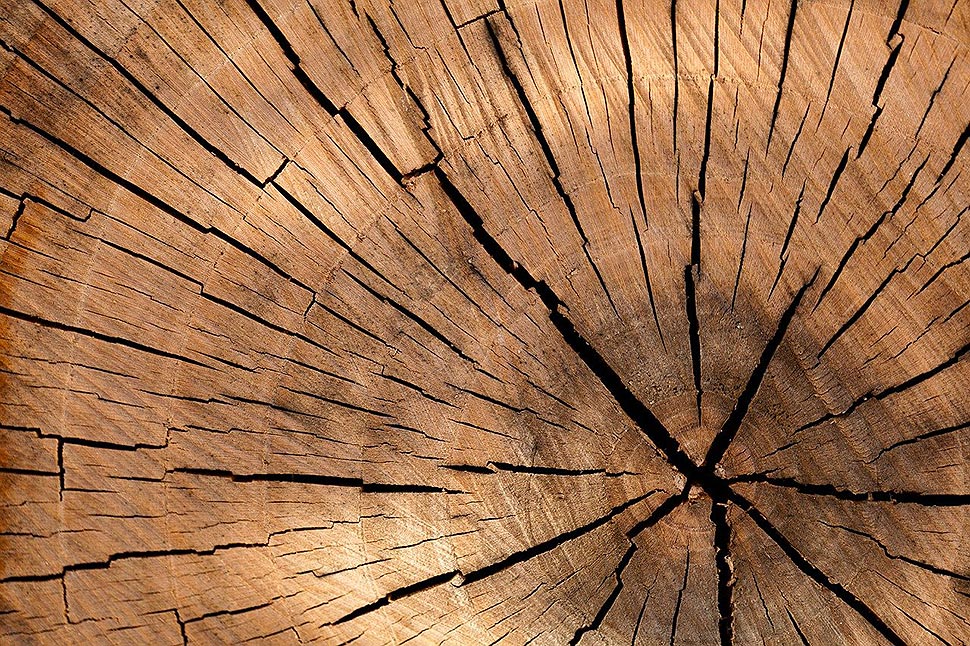 Mehr Holznutzung - weniger Treibhausgase. Foto: pixabay.com Mehr Holznutzung - weniger Treibhausgase. Foto: pixabay.com