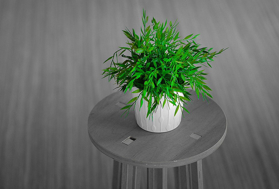 Mit Holz & Pflanzen das Raumklima verbessern. Foto: pixabay.com Mit Holz & Pflanzen das Raumklima verbessern. Foto: pixabay.com