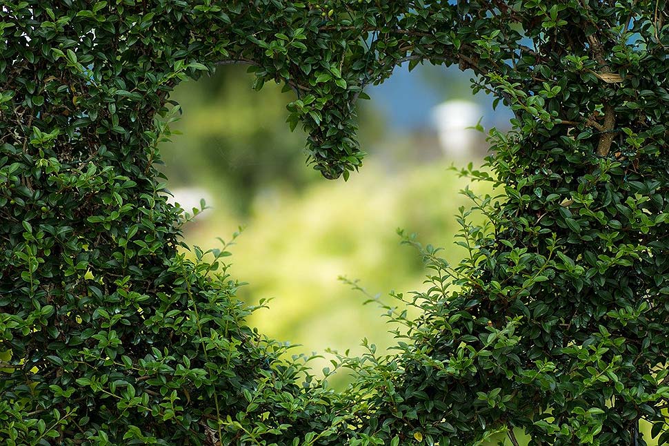 Gartentrends 2021: Das bringt die neue Saison. Foto: pixabay.com Gartentrends 2021: Das bringt die neue Saison. Foto: pixabay.com
