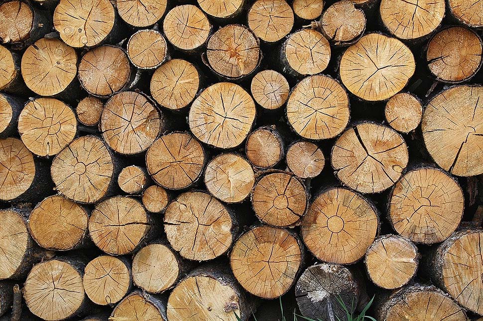 Kombination verschiedener Holzarten: Harmonie oder Stilmix mit Pufferzonen. Foto: pixabay,com