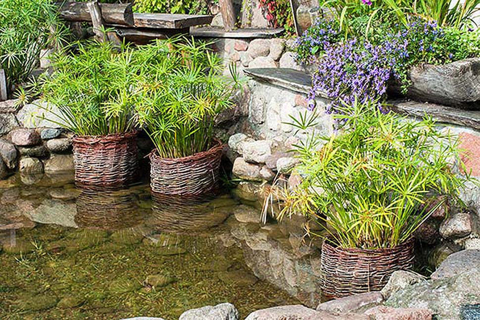 Einen Teich im eigenen Garten anlegen. Foto: iStock.com / katkov