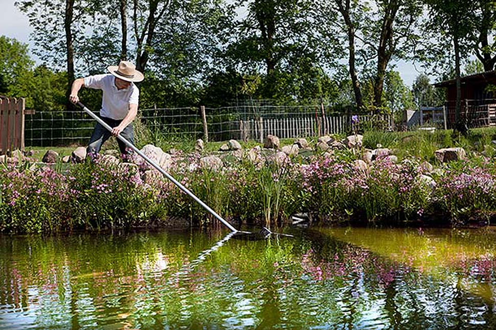 Einen Teich im eigenen Garten anlegen. Foto: iStock.com / purple_queue