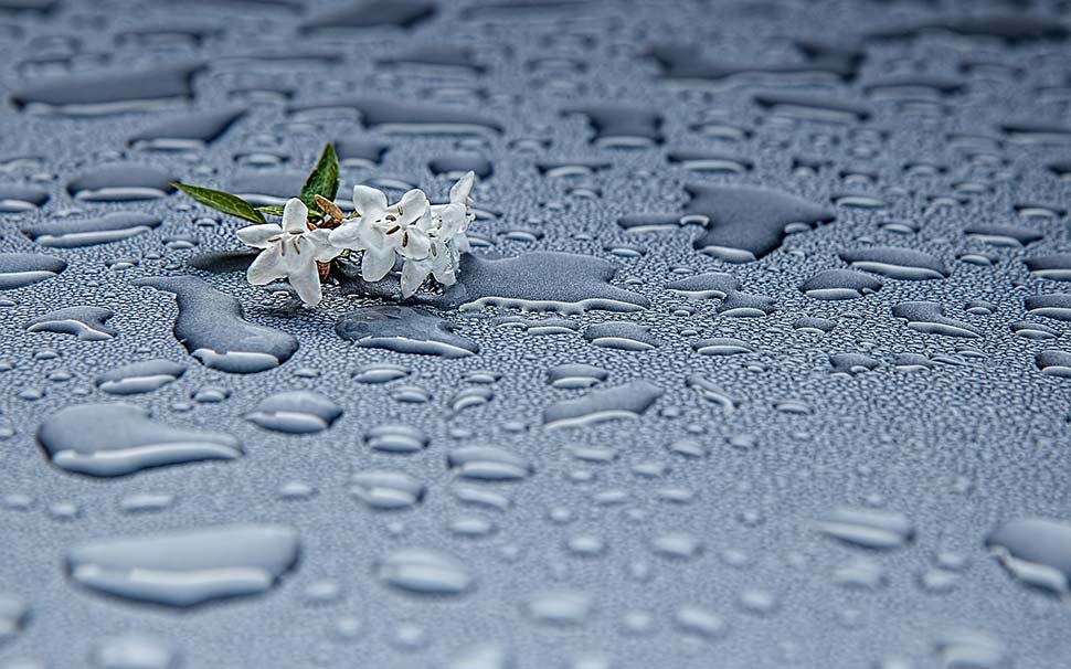 Regenwassernutzung im Haushalt. Foto: pixabay.com