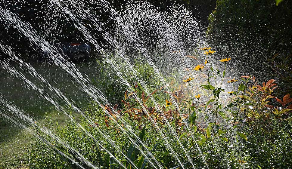 Was bringen Gartenwasserzähler? Foto: pixabay.com