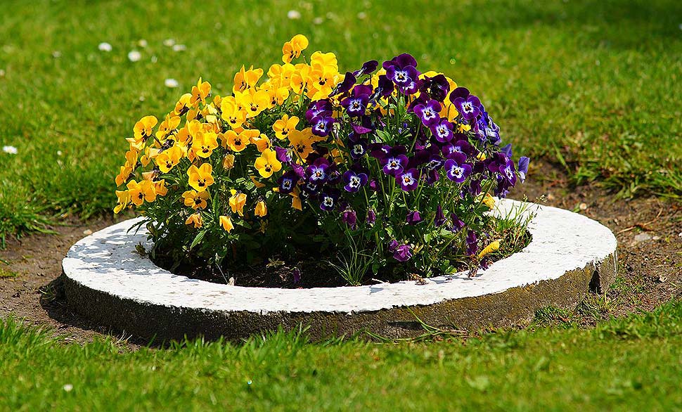 Garten selbst umbauen und neu gestalten. Foto: pixabay.com