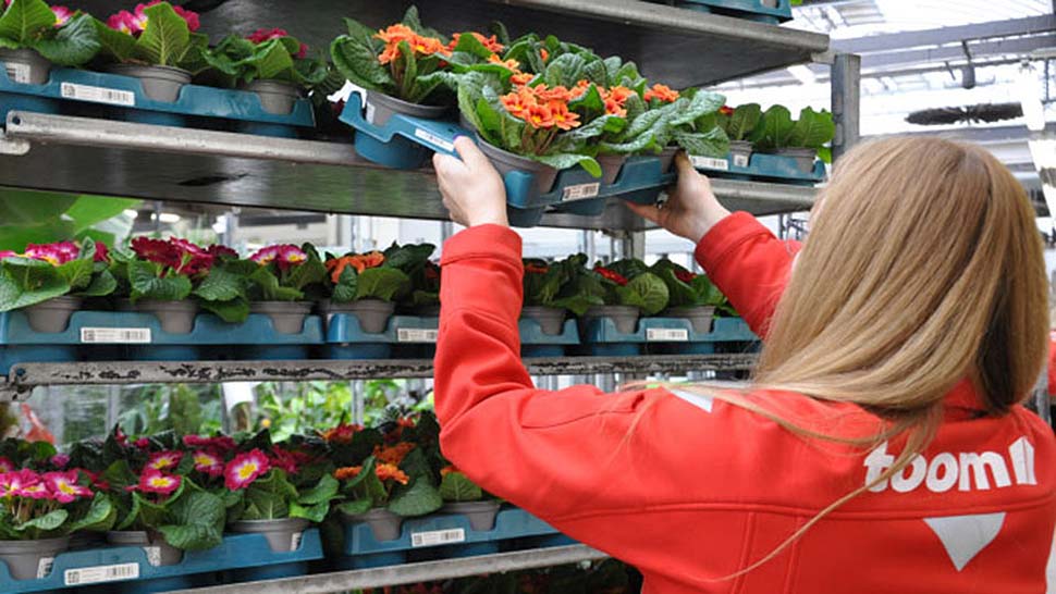 Erste Baumärkte setzen als Vorreiter auf Mehrwegpaletten und bauen dieses Angebot weiter aus. Foto: djd / toom 