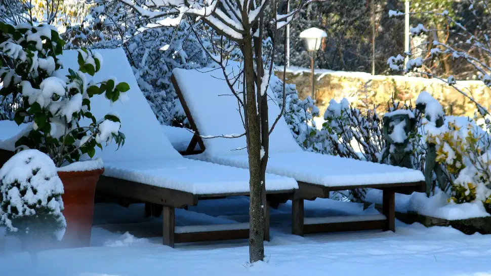 Regelmäßige Kontrolle auch im Winter. Foto: EyeEm / Freepik.com