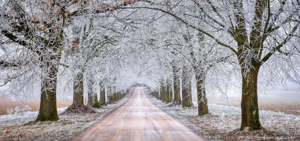 Sicher durch den Winter: So schützen Sie Ihre Baustelle. Foto: Pixabay.com