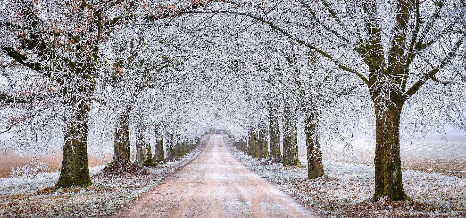 Sicher durch den Winter: So schützen Sie Ihre Baustelle. Foto: Pixabay.com