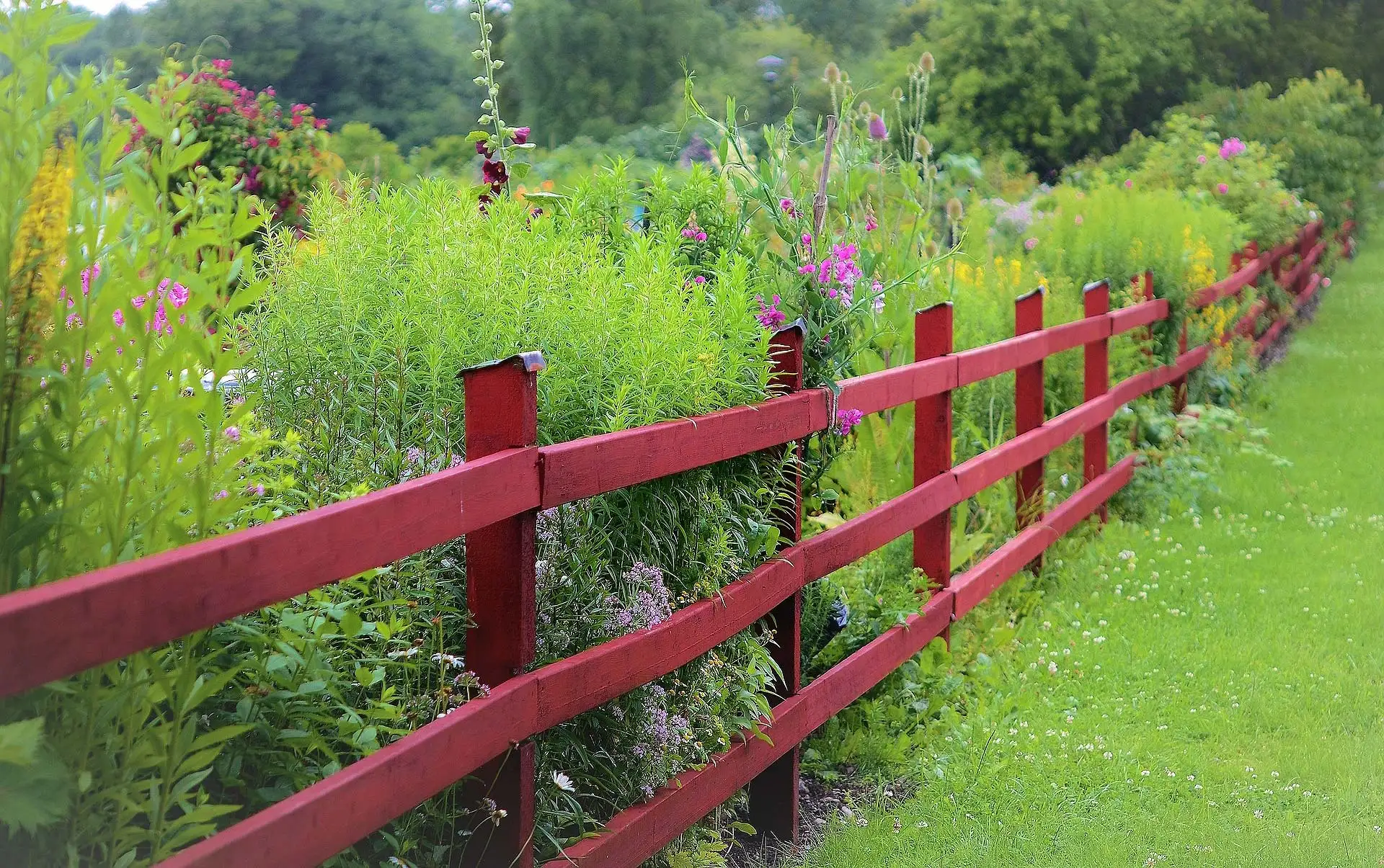Modern oder klassisch? Passende Zaun- und Tordesigns für verschiedene Haustypen. Foto: Pixabay.com