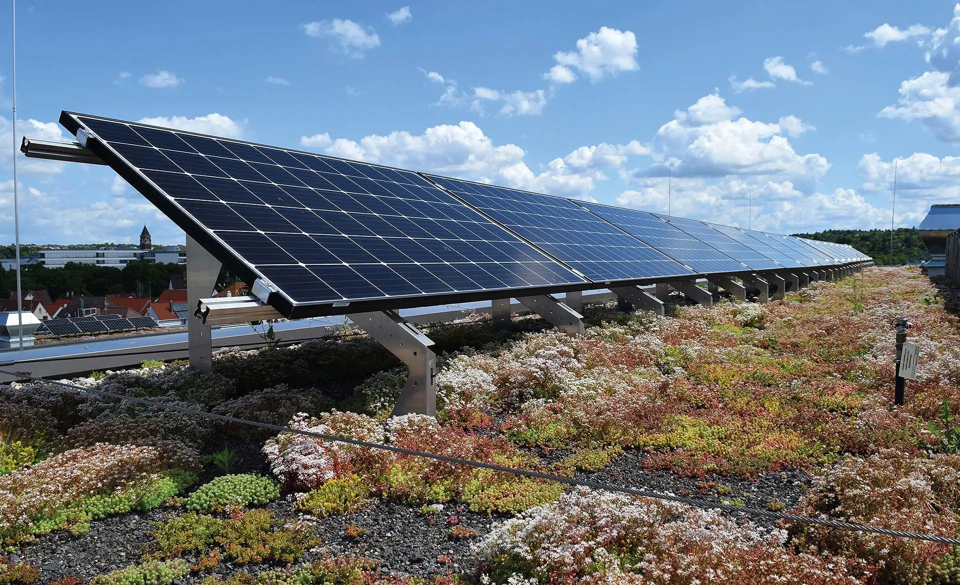 Solarmodule können direkt auf dem bepflanzten Dach installiert werden Bild Nr. 6696, Quelle: Bundesverband GebäudeGrün e.V. / BHW Bausparkasse