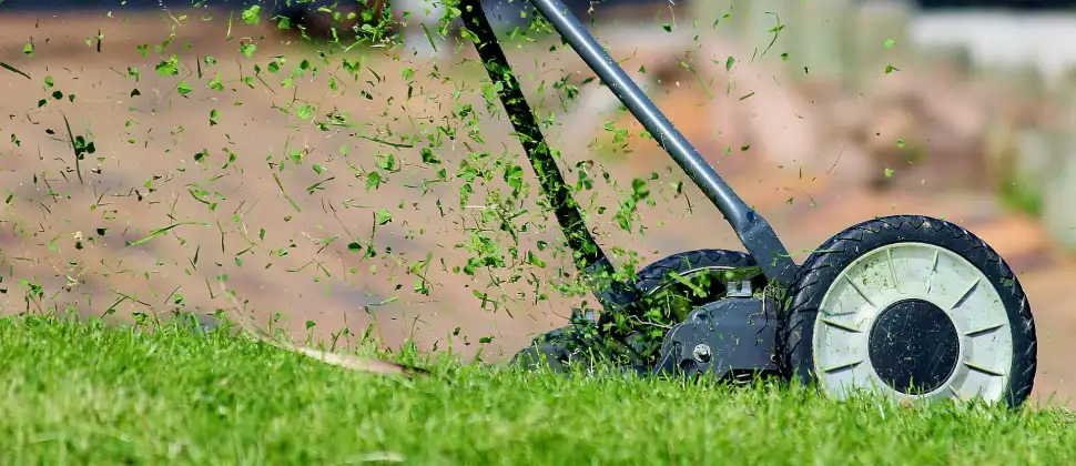 Grün planen, nicht improvisieren – Wie kluge Außenraumgestaltung Zeit, Kosten und Nerven spart. Foto: Pixabay.com