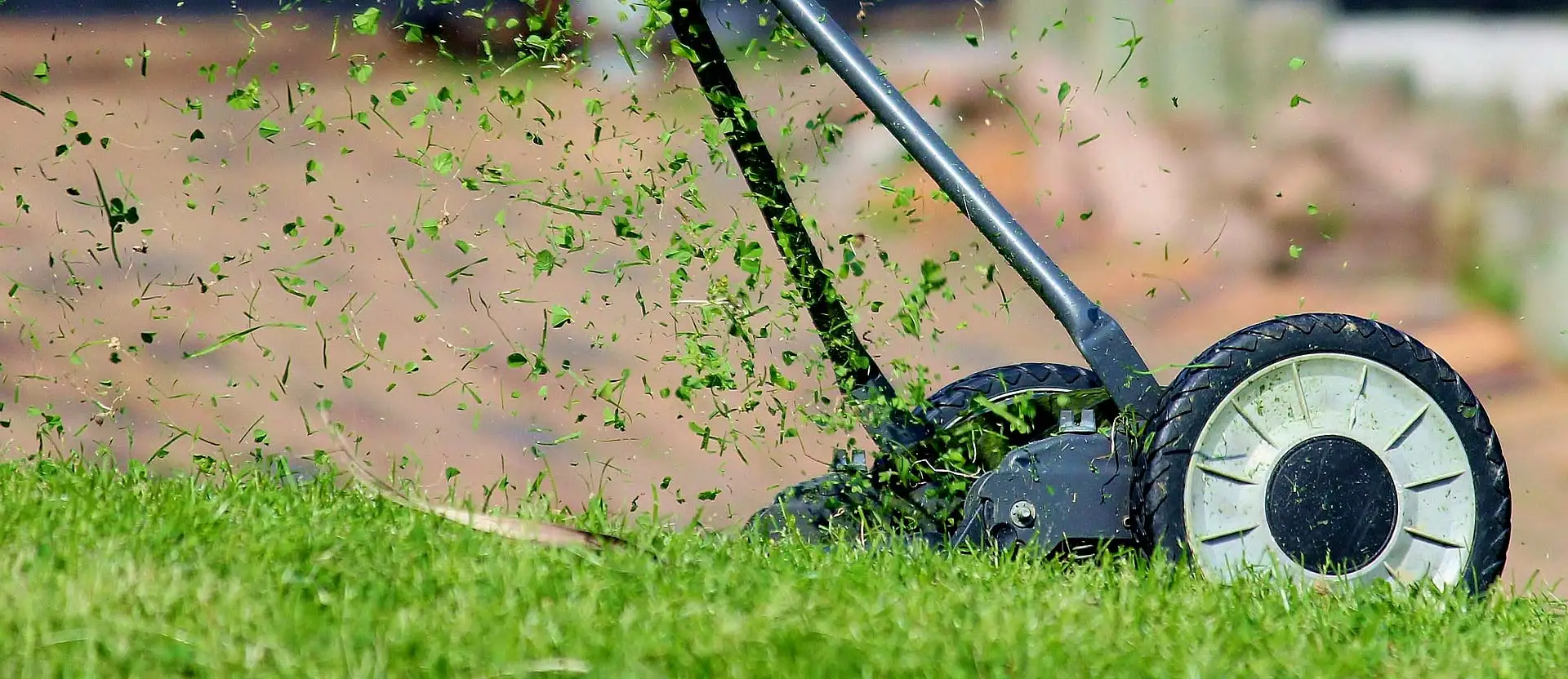 Grün planen, nicht improvisieren – Wie kluge Außenraumgestaltung Zeit, Kosten und Nerven spart. Foto: Pixabay.com