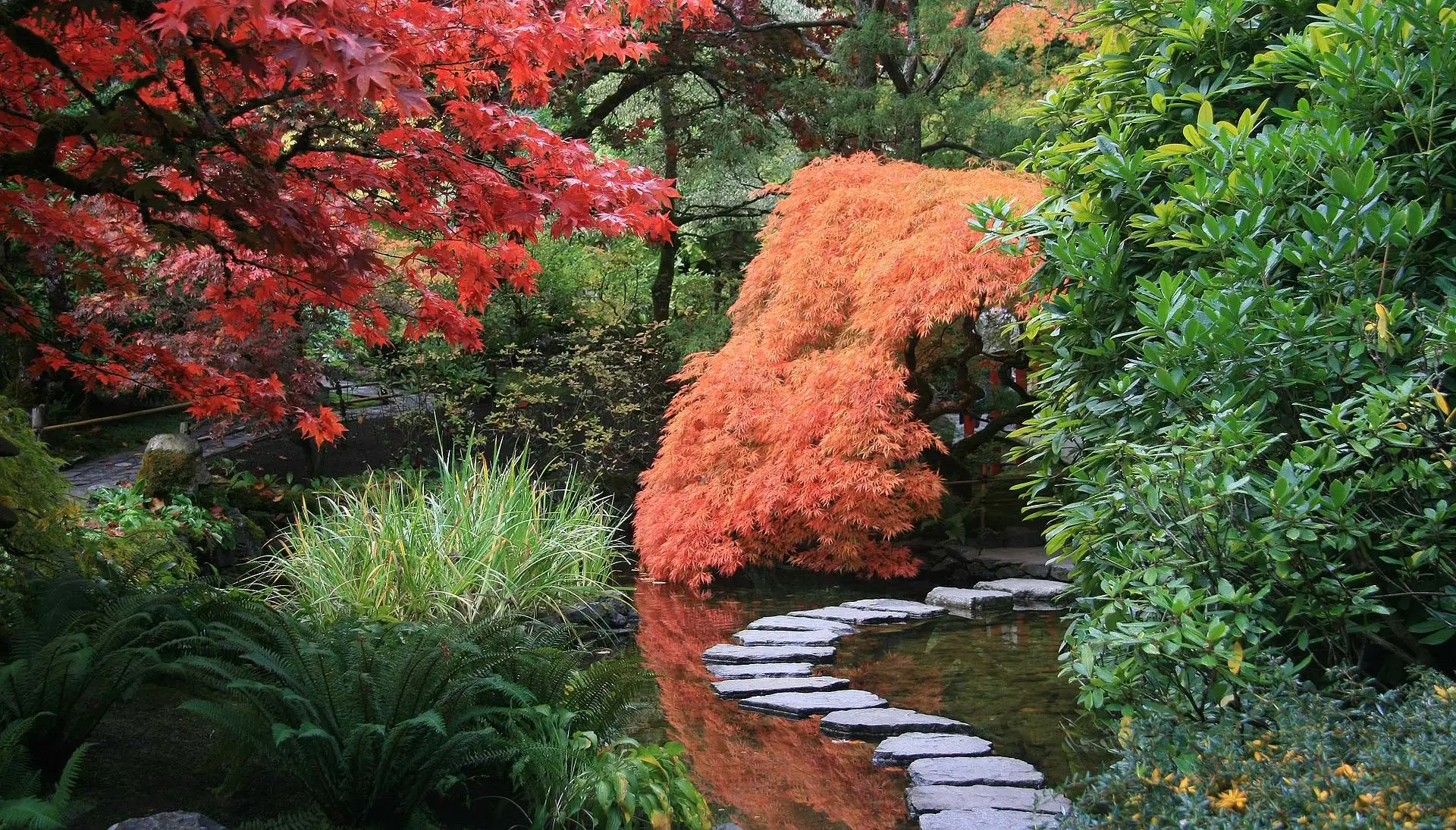 Bäume: oft vergessene Alleskönner für die Gartengestaltung. Foto: Pixabay.com