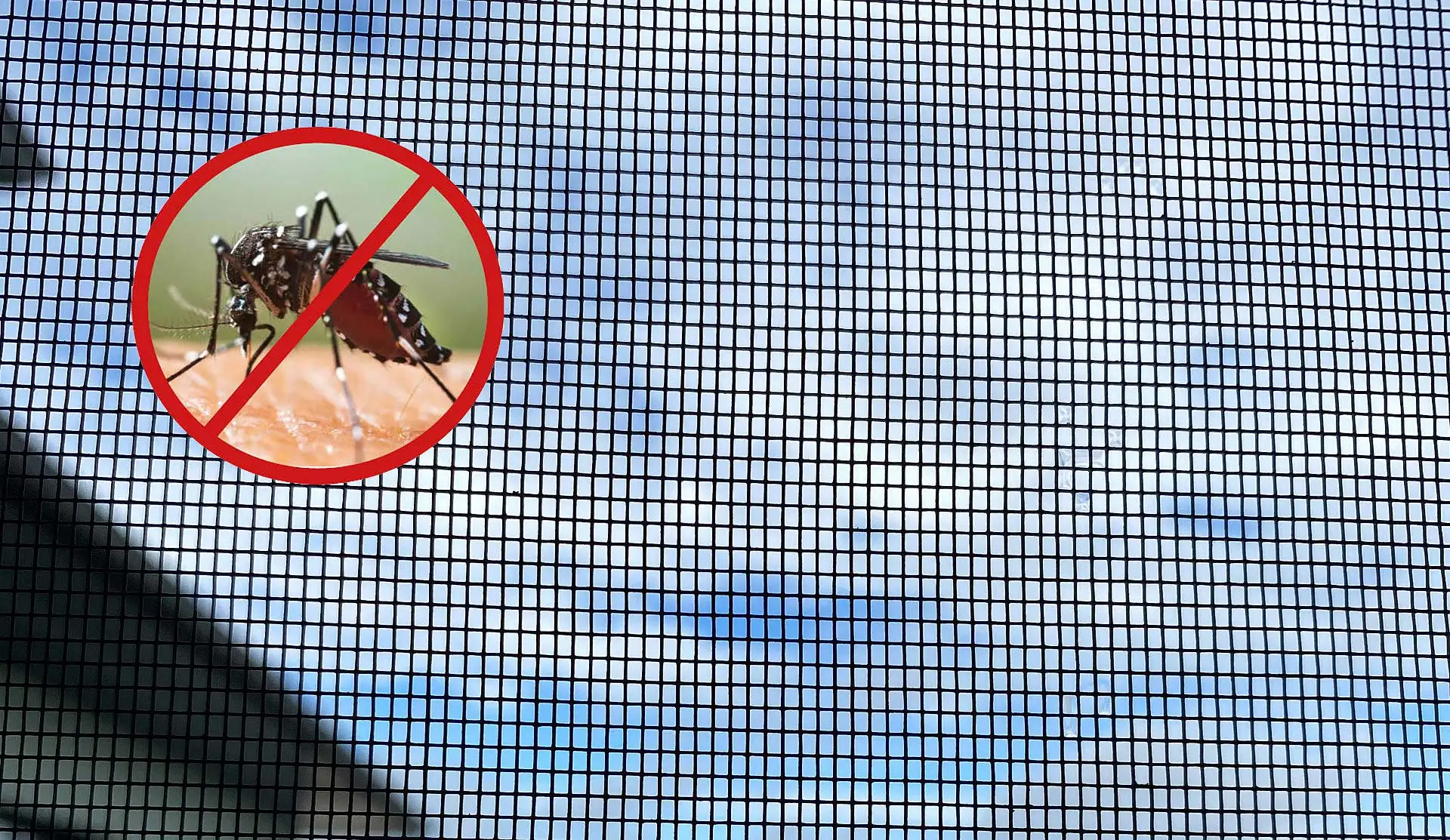 Der transparente und langlebige Insektenschutz lässt nur Licht und Luft herein – lästige Summer und Brummer bleiben draußen! (Foto: epr/DEFLEX)