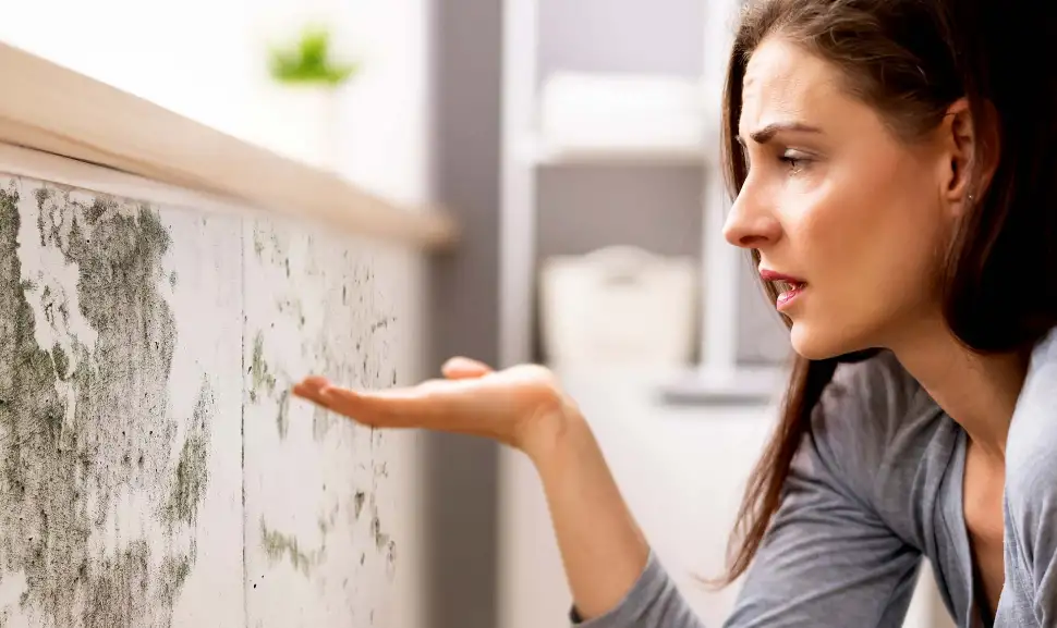 Ursachen für Schimmelbildung in Fertighäusern. Foto: AndreyPopov / iStock.com