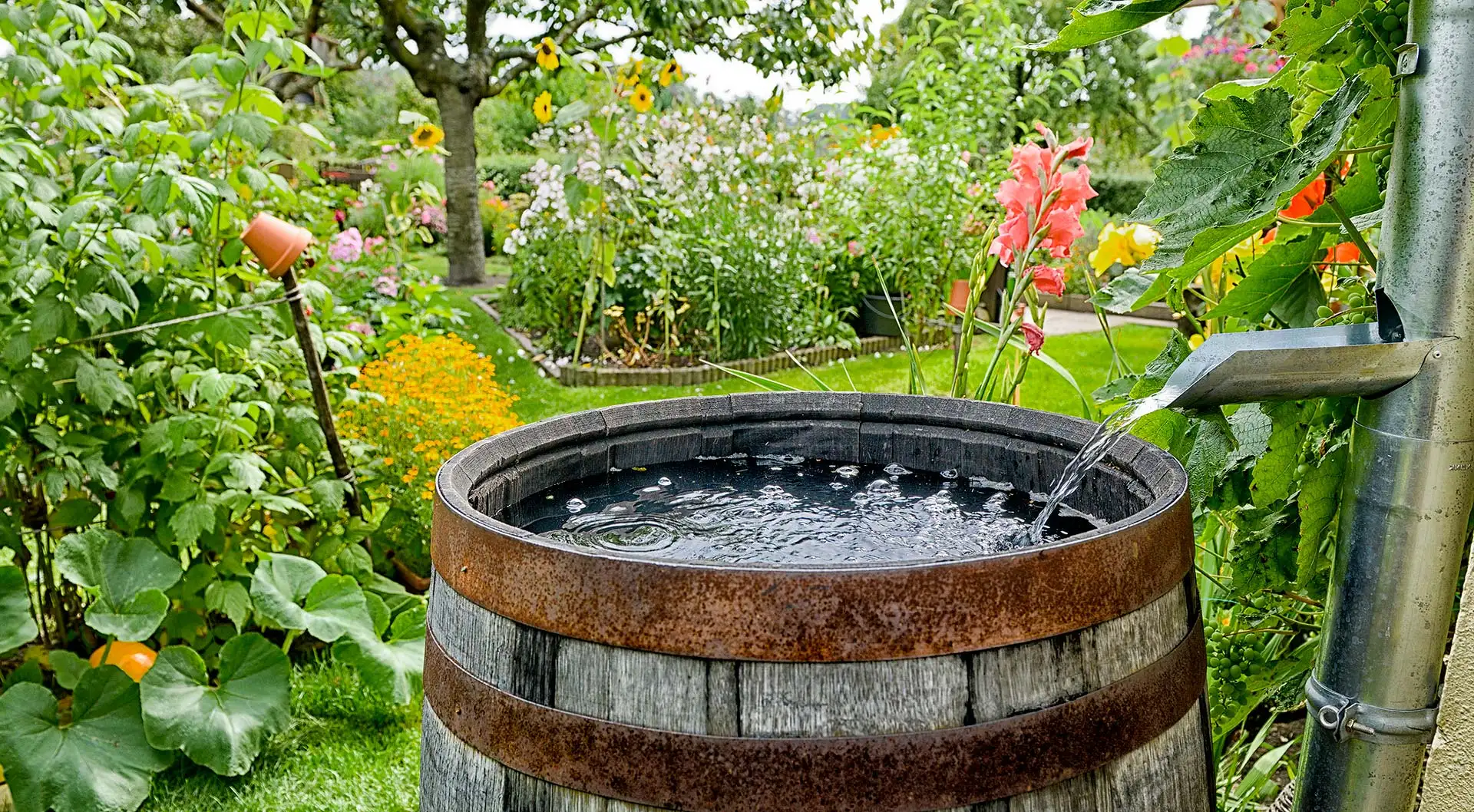 Regenwasser mit Zisterne im Garten und Haushalt nutzen. Sparen Sie Kosten und schonen Sie die Umwelt. Foto: schulzie / iStock.com