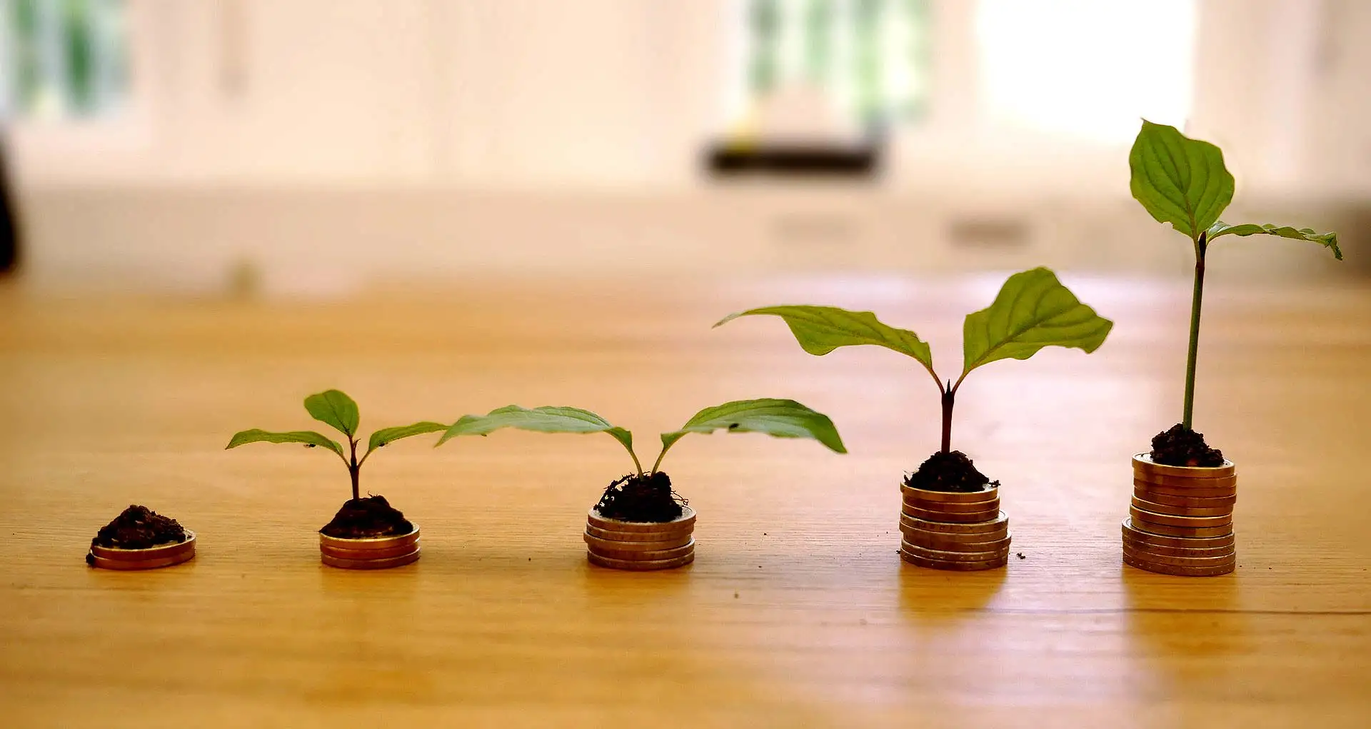 Dr. Klein Prognose: Bauzinsen und Immobilienpreise streben 2026 leicht aufw&auml;rts. Foto: pixabay.com