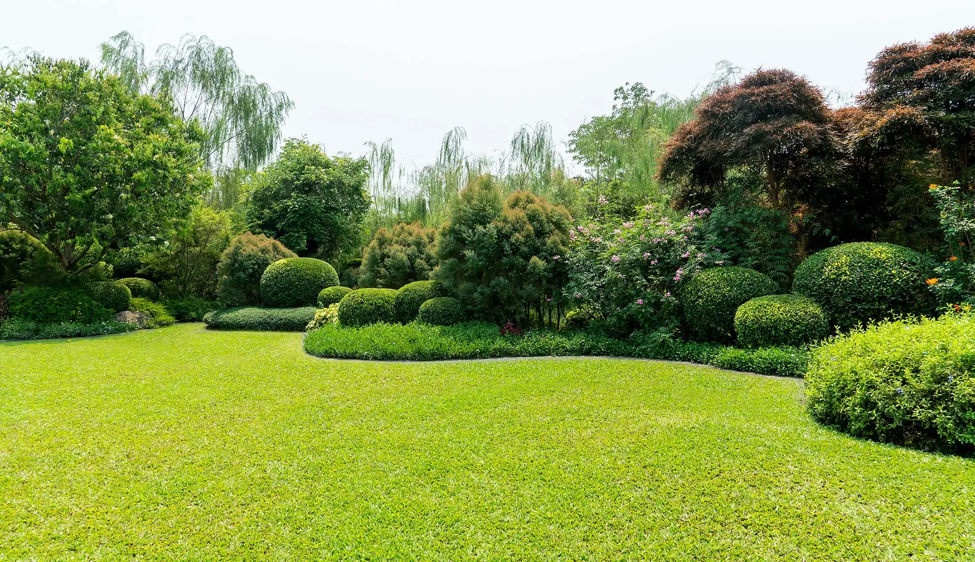 Rollrasen für den Neubau-Garten: Sorten, Lieferung und worauf Bauherren beim Kauf achten sollten. Foto: Byjeng / iStock.com