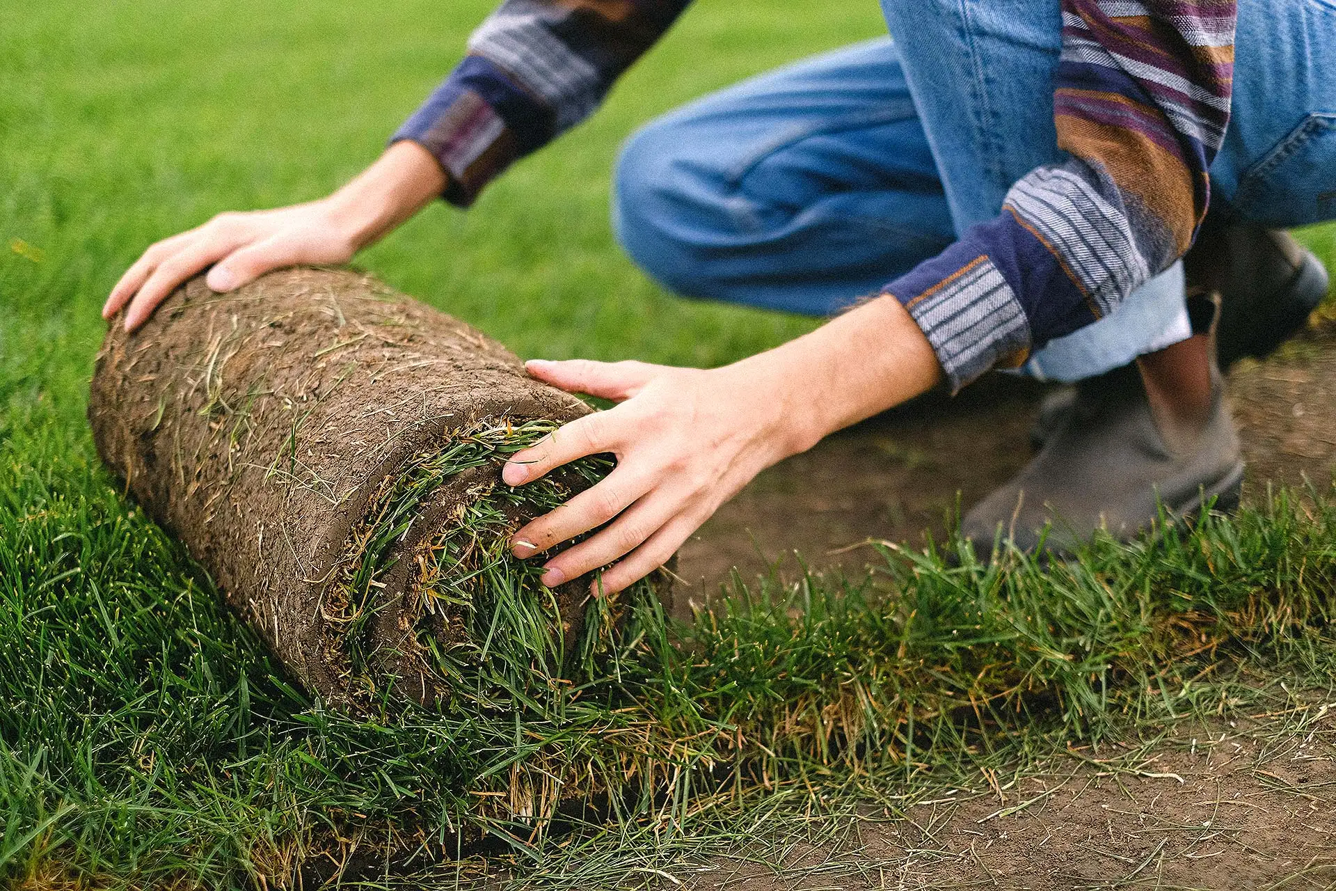 Rollrasen für den Neubau-Garten. Foto: Anna Shvets / pexels.com
