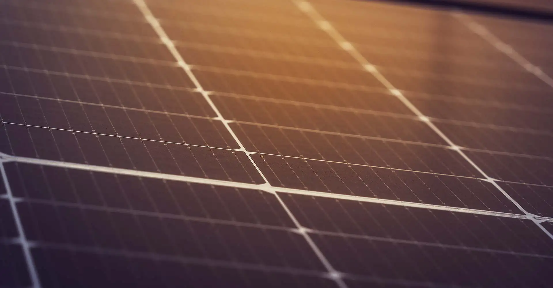 Photovoltaik w&auml;chst &ndash; Solarbranche warnt vor politischer Ausbaubremse. Foto: Michael Pointner / pixabay.com